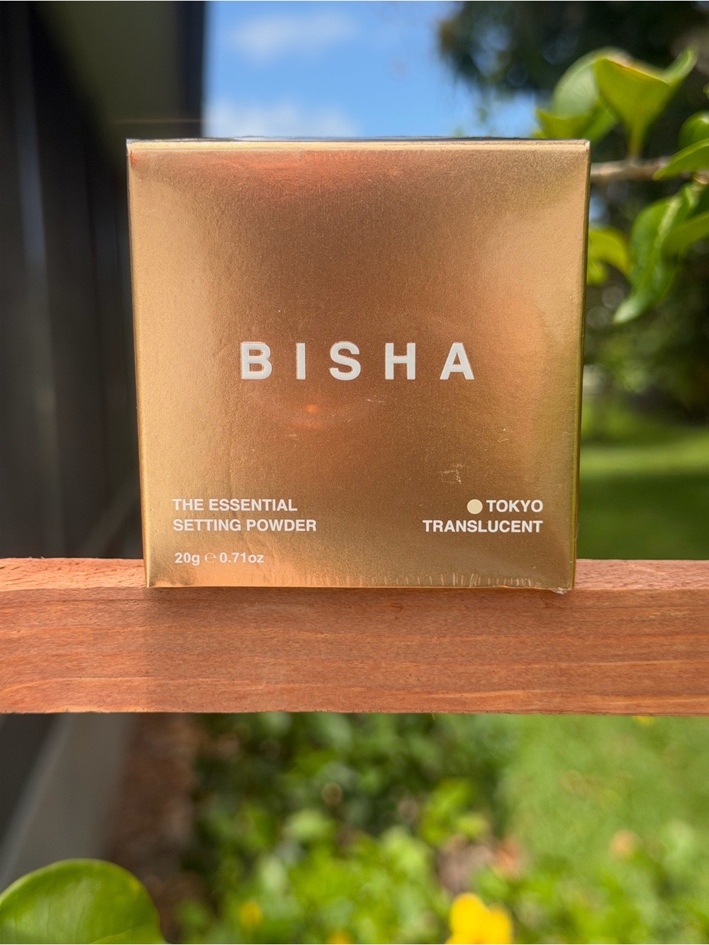BISHA Essential Loose Setting Powder In Tokyo Translucent - Picture 8 of 8